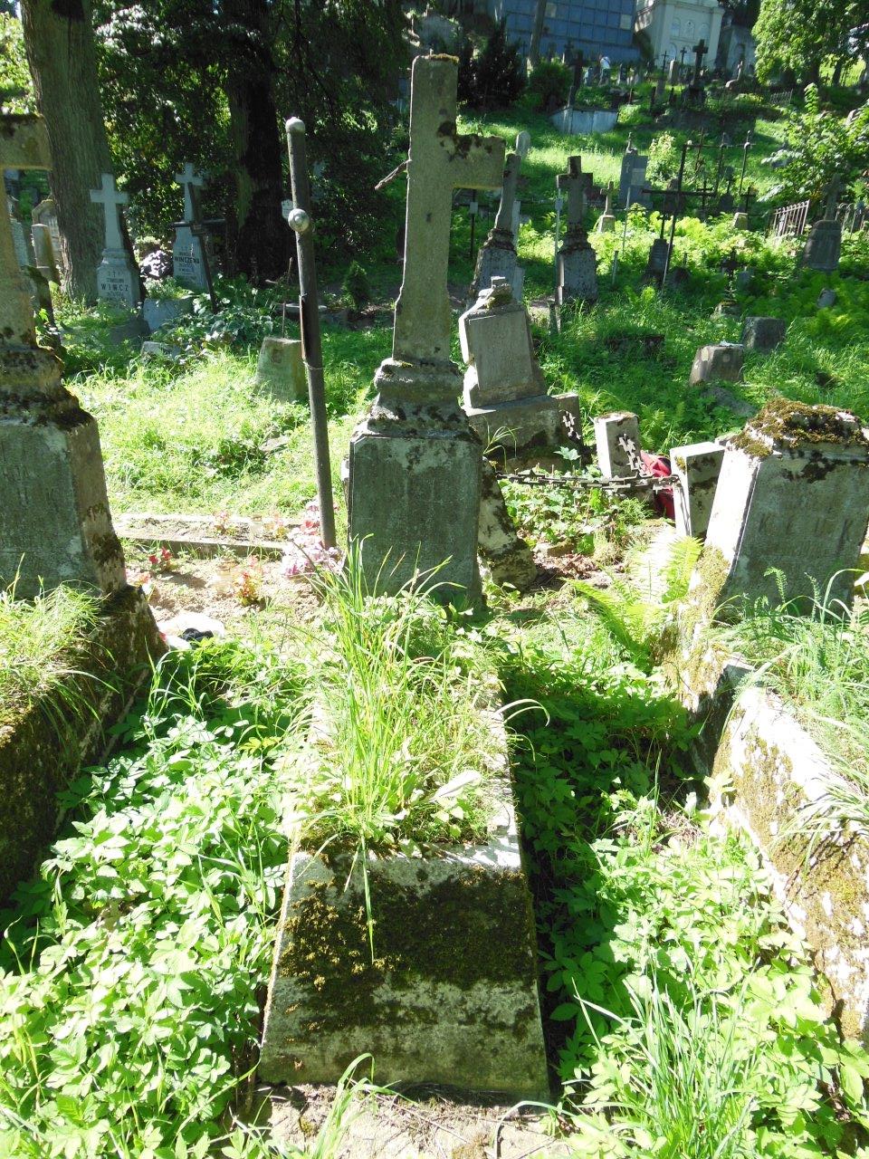 Nagrobek Antoniego Kluka, cmentarz na Rossie w Wilnie, stan z 2013 r.