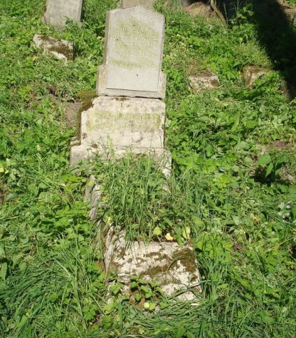 Nagrobek Wincentego Bereśniewicza, cmentarz na Rossie, stan z 2013 roku