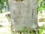 Fotografia przedstawiająca Tombstone of Helena Kluk
