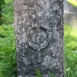 Fotografia przedstawiająca Tombstone of Ludwika Szematowicz