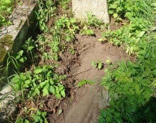 Nagrobek Kamili Adutowicz, cmentarz na Rossie, stan z 2013 roku