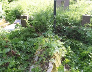 Nagrobek Michaliny Wincis, z cmentarza na Rossie w Wilnie, stan z 2013 roku