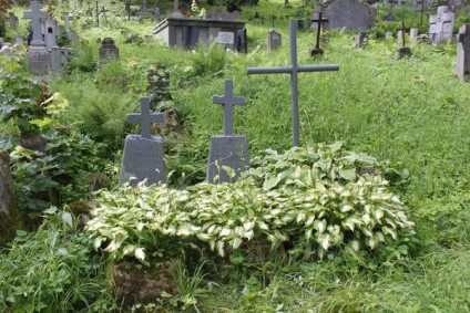 Nagrobek Józefa Stanielewicza, cmentarz Na Rossie w Wilnie, stan z 2013