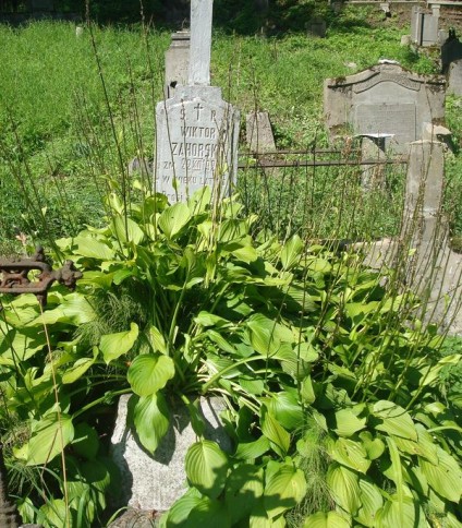 Nagrobek Wiktora Zahorskiego, cmentarz na Rossie, stan z 2013 roku