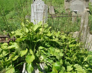 Nagrobek Wiktora Zahorskiego, cmentarz na Rossie, stan z 2013 roku