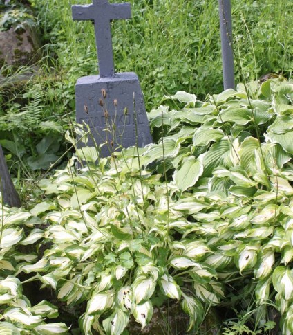 Nagrobek Rozali Czapukoić, cmentarz Na Rossie w Wilnie, stan z 2013