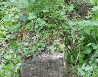 Nagrobek Zofii Kuanowskiej, cmentarz Na Rossie w Wilnie, stan z 2013