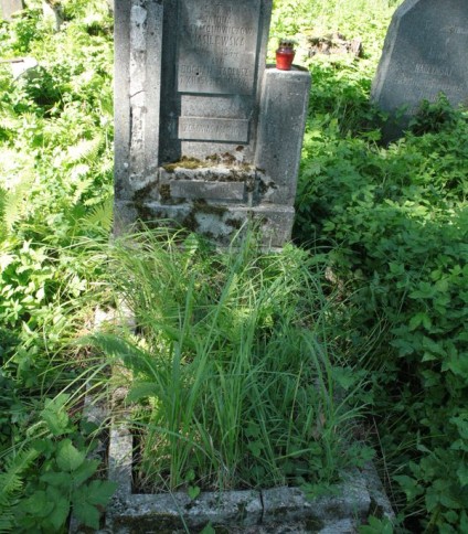 Nagrobek Janiny i Bogdana Wasilewskich, cmentarz Na Rossie w Wilnie, stan z 2013 r.