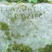 Photo showing Gravestone of Maria Niedek