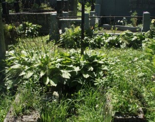 Nagrobek Józefy i Stanisława Sotkiewicza, cmentarz Na Rossie w Wilnie, stan z 2013 r.