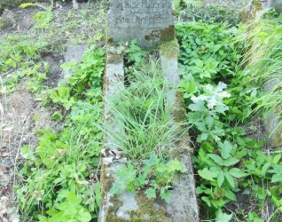 Nagrobek Franciszka Niedek, cmentarz na Rossie w Wilnie, stan z 2013 r.