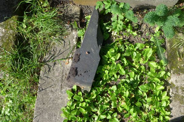 Fragment of a broken cross from the gravestone of Julia Urbanowicz, Na Rossie cemetery in Vilnius, as of 2013