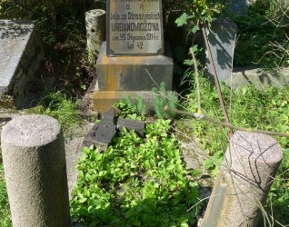 Nagrobek Julii Urbanowicz, cmentarz Na Rossie w Wilnie, stan z 2013