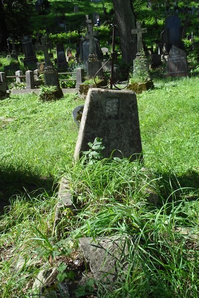 Tombstone of Waclaw Karlowicz, Na Rossie cemetery in Vilnius, as of 2013.