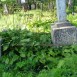 Fotografia przedstawiająca Tombstone of Jozef Lujszajtis