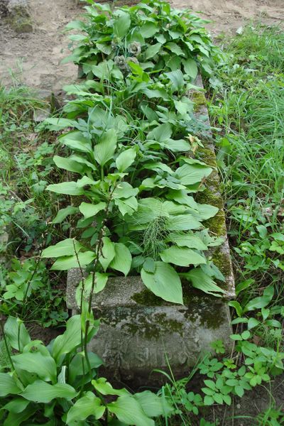 Tombstone of N.N., Na Rossie cemetery in Vilnius, as of 2013.