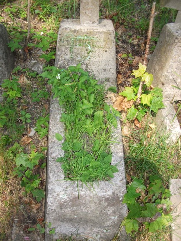 Nagrobek Stanisława Łowameckiego, cmentarz Na Rossie w Wilnie, stan z 2014 r.