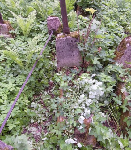 Nagrobek Izabeli Hrehorowicz, cmentarz na Rossie w Wilnie, stan z 2013