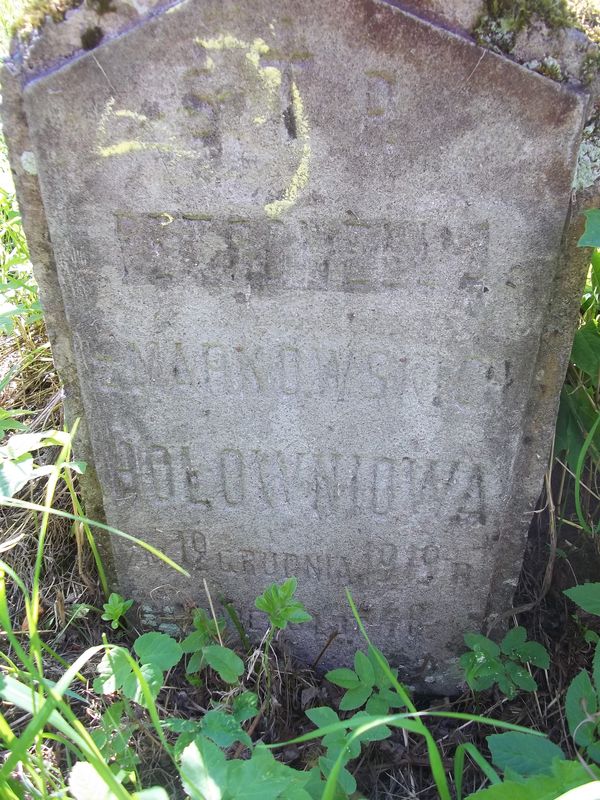 Fragment nagrobka Petroneli Hołowni, cmentarz Na Rossie w Wilnie, stan z 2014