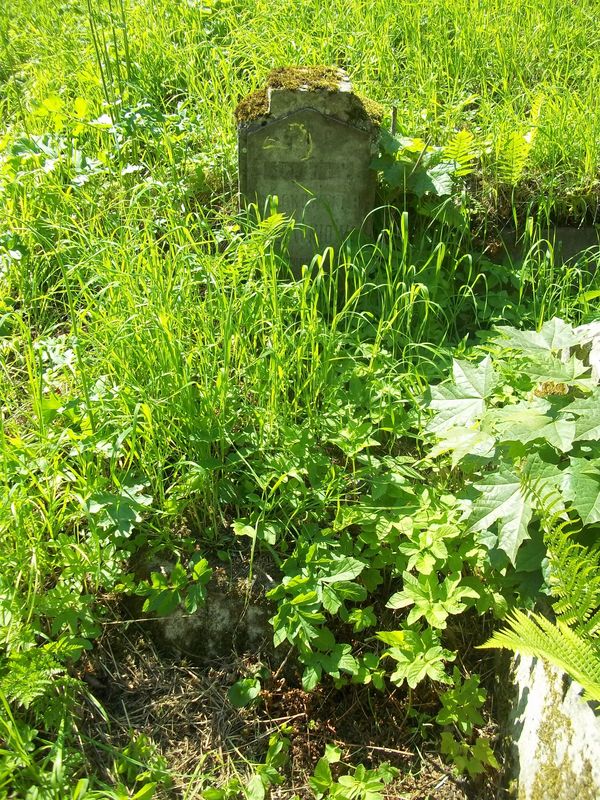Nagrobek Petroneli Hołowni, cmentarz Na Rossie w Wilnie, stan z 2014
