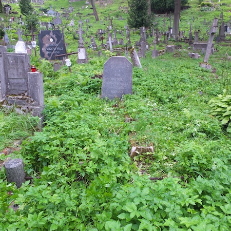 Tombstone of Aleksandra and Antoni Narzymski, Rossa cemetery, as of 2013