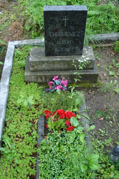 Nagrobek Alberta Charkiewicza, cmentarz Na Rossie w Wilnie, stan z 2013 r.