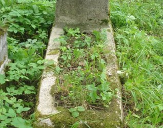 Nagrobek Reginy Piworowicz, cmentarz Na Rossie w Wilnie, stan z 2013 r.