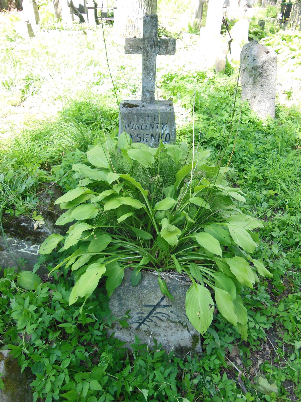 Tombstone of Vincent Lysenko, Ross cemetery in Vilnius, as of 2013.