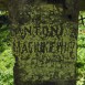 Альтернативний текст фотографії