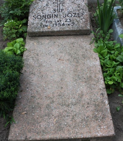 Nagrobek Józefa Songina z cmentarza Na Rossie w Wilnie stan z 2013