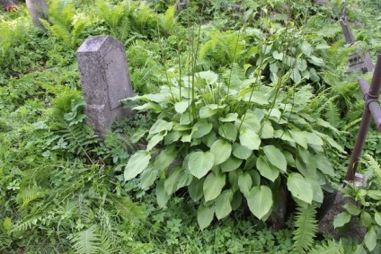 Nagrobek Marii i Józefa Marczewskich z cmentarza Na Rossie w Wilnie stan z 2013