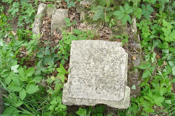 Tombstone of Anna Paluszkiewicz, N. N. Paluszkiewicz and Helena Vasilevska, Na Rossie cemetery in Vilnius, as of 2013