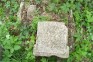 Photo showing Tombstone of Anna Paluszkiewicz, N. N. Paluszkiewicz and Helena Wasilewska