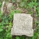 Photo showing Tombstone of Anna Paluszkiewicz, N. N. Paluszkiewicz and Helena Wasilewska