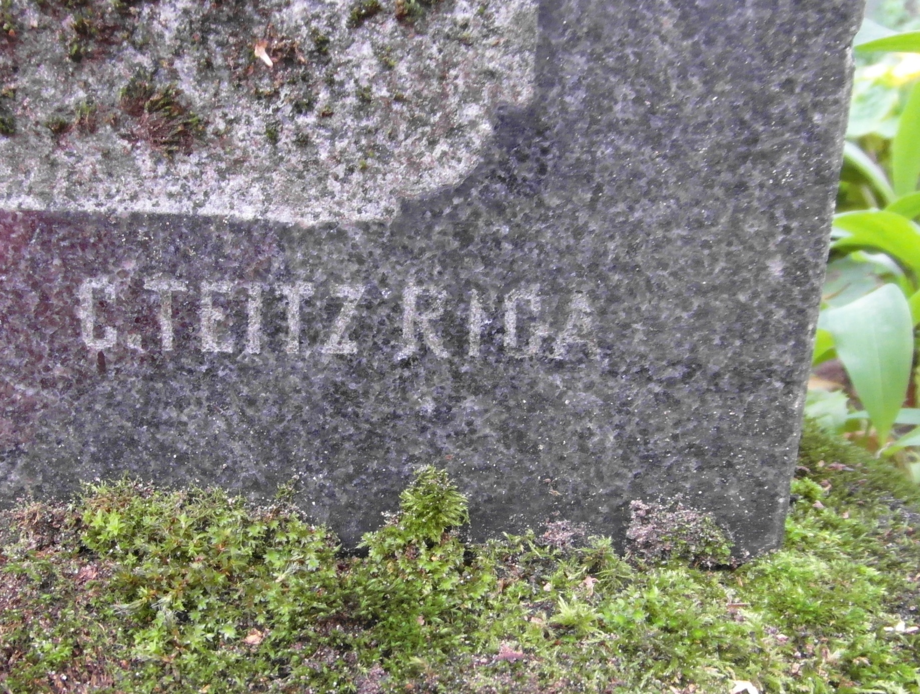 Fragment of Wanda Deiko's tombstone, St Michael's cemetery in Riga, as of 2021.