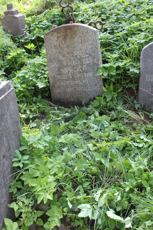 Nagrobek Stanisława Pietkiewicza, cmentarz Na Rossie w Wilnie, stan z 2013