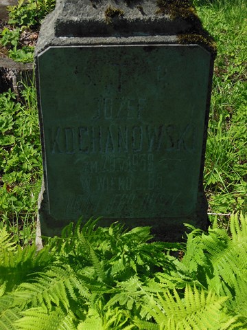 Fragment nagrobka Józefa Kochanowskiego, cmentarz na Rossie, stan z 2014 roku