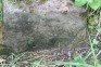 Альтернативний текст фотографії