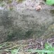 Альтернативний текст фотографії