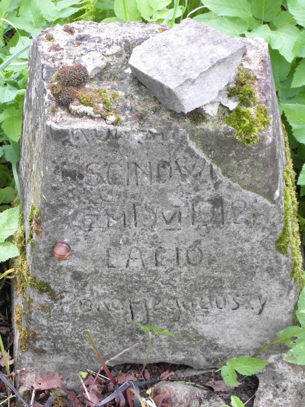 Fragment of a tombstone of Roman Ushcinovich, Rossa cemetery in Vilnius, 2013