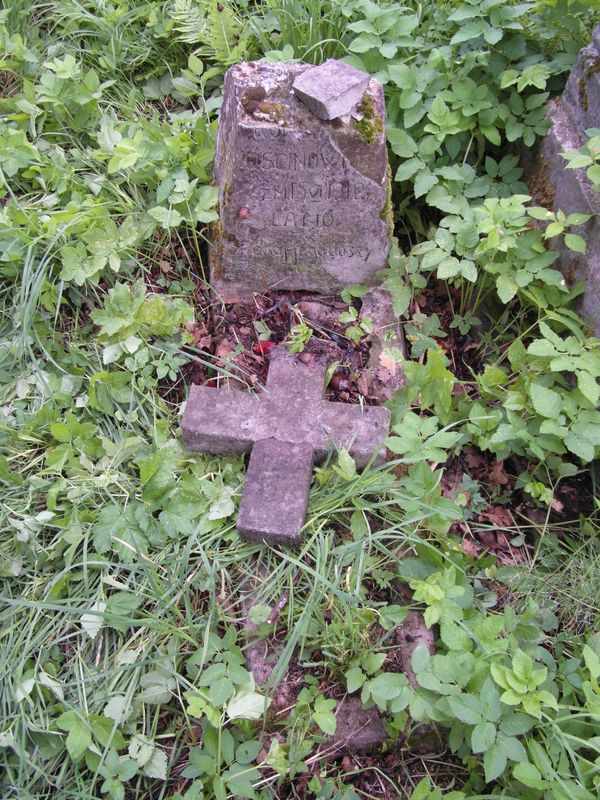 Tombstone of Roman Ushcinovich, Ross Cemetery, Vilnius, 2013