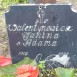Photo showing Tombstone of Janina Walentynowicz