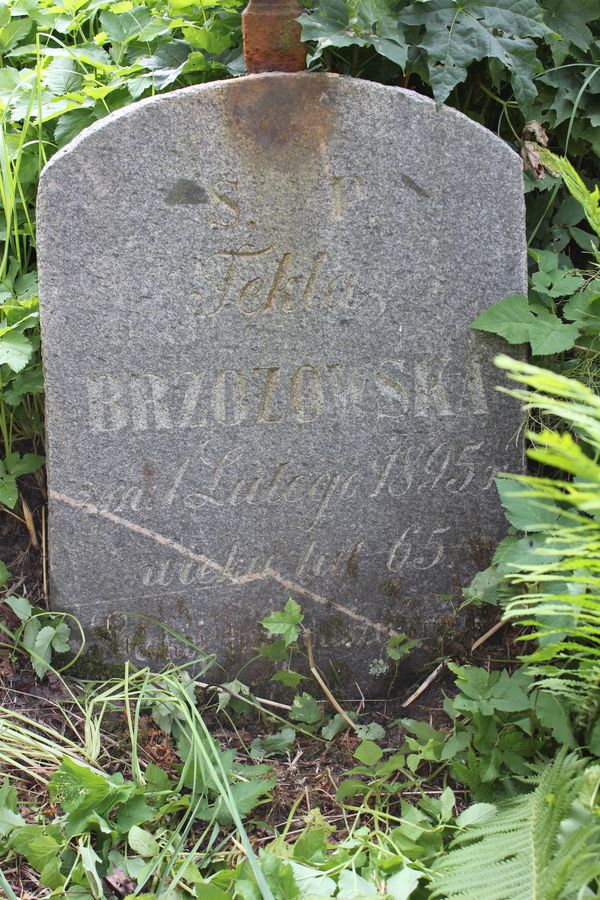 Fragment of Tekla Brzozowska's tombstone, Na Rossie cemetery in Vilnius, as of 2013