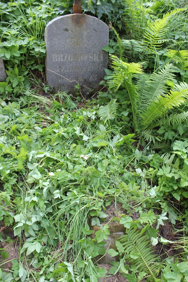 Tombstone of Tekla Brzozowska, Na Rossie cemetery in Vilnius, as of 2013