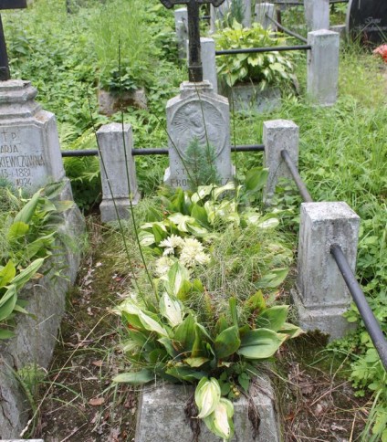 Nagrobek Stefani Fronckiewicz, cmentarz Na Rossie w Wilnie, stan z 2013