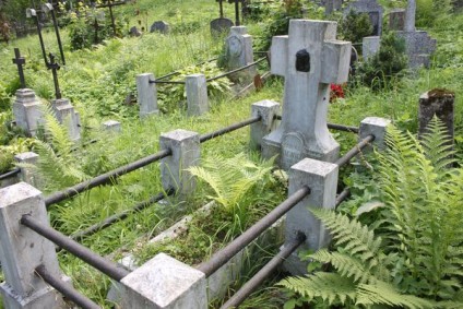 Nagrobek Janiny Fronckiewicz, cmentarz Na Rossie w Wilnie, stan z 2013