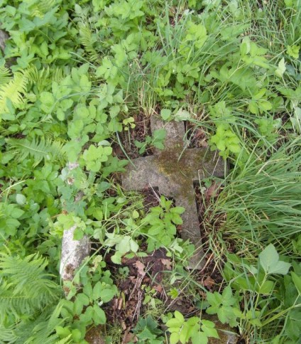 Nagrobek Janina Tyszkiewicz, cmentarz na Rossie w Wilnie, stan z 2013