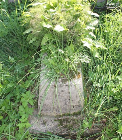 Nagrobek Bronisławy, Marii i Reginy Pietraszkiewicz, cmentarz Na Rossie w Wilnie, stan z 2013