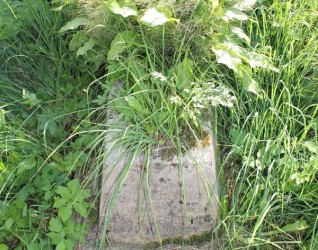 Nagrobek Bronisławy, Marii i Reginy Pietraszkiewicz, cmentarz Na Rossie w Wilnie, stan z 2013