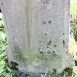 Fotografia przedstawiająca Nagrobek Macieja Malickiego